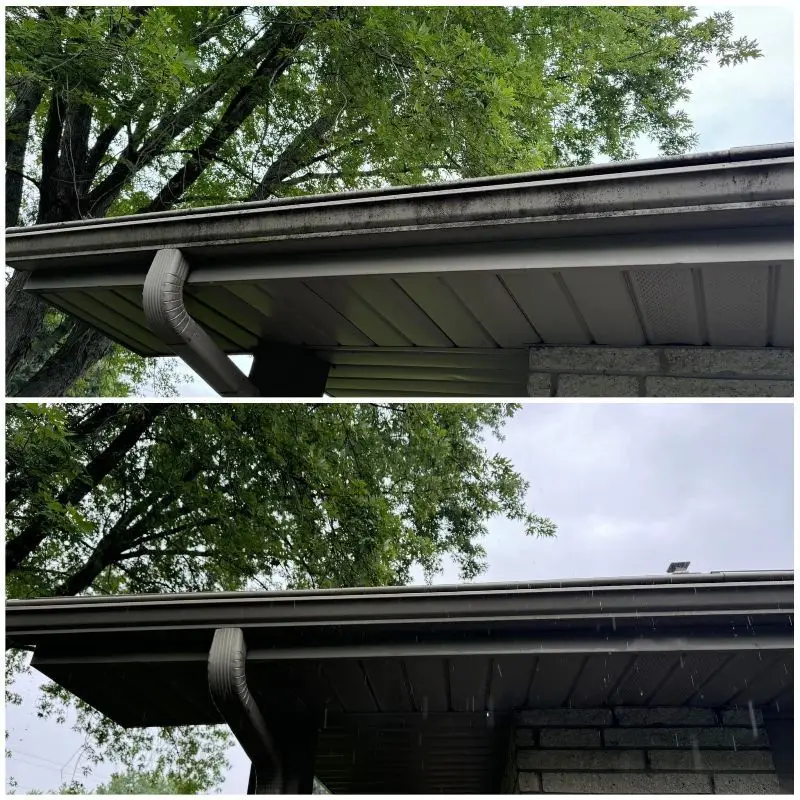 Gutter Cleaning Services