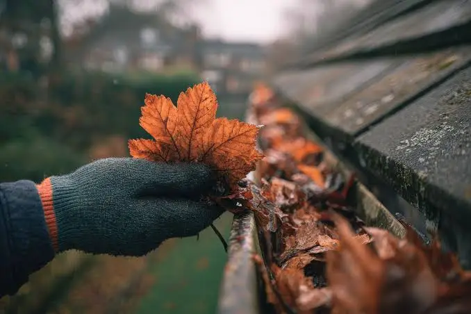 Gloved hand clearing debris and leaves from a clogged gutter, illustrating Neu's Power Washing's gutter